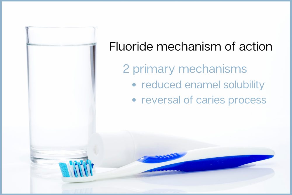 Fluoride mechanism of action with two primary, reduced enamel solubility, and reversal of caries process